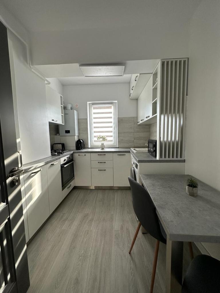 Cozy Holidays In Center Of Suceava Esplanada Luaran gambar